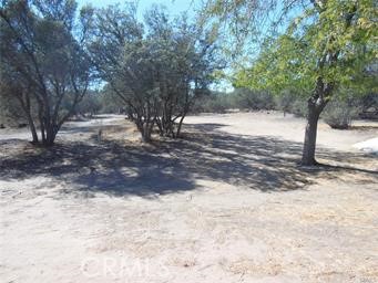 10984 Lincroft Road Property Photo 26