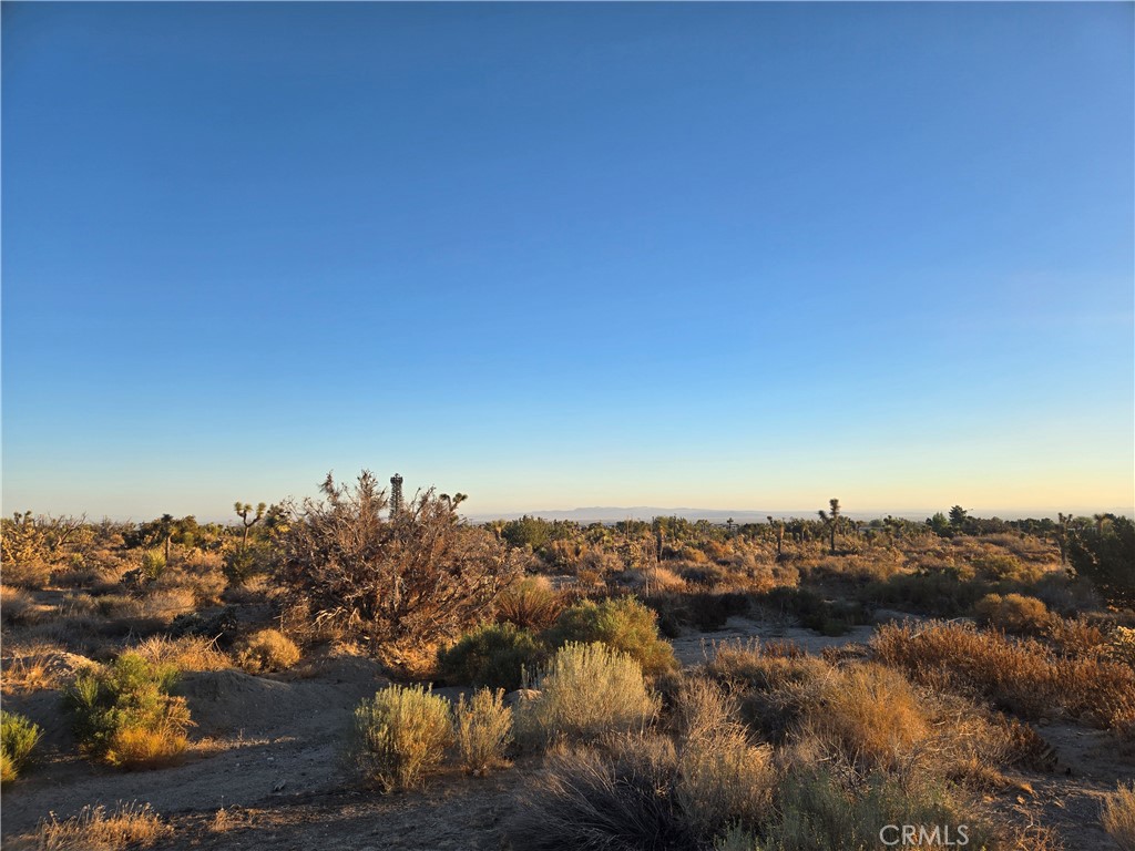 4044 Nielson Road Property Photo 6