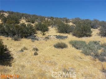 0 Starlight Dr Property Photo 1