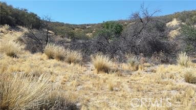 0 Starlight Dr Property Photo 2