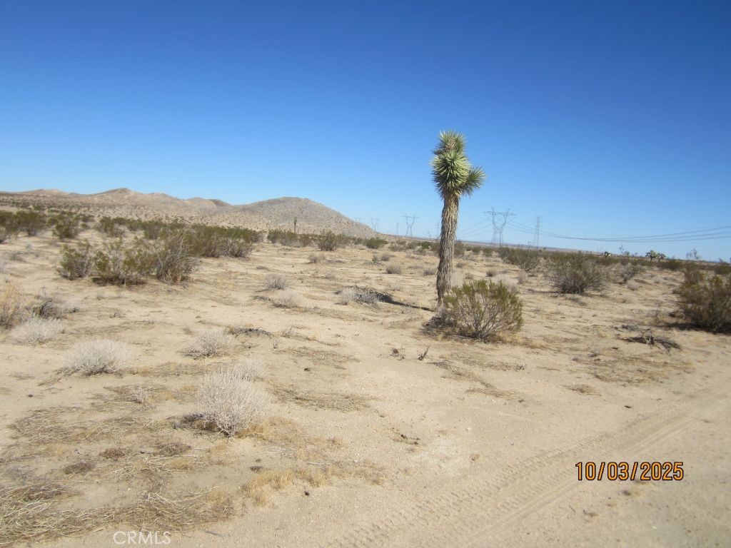 0 Panther Property Photo 1