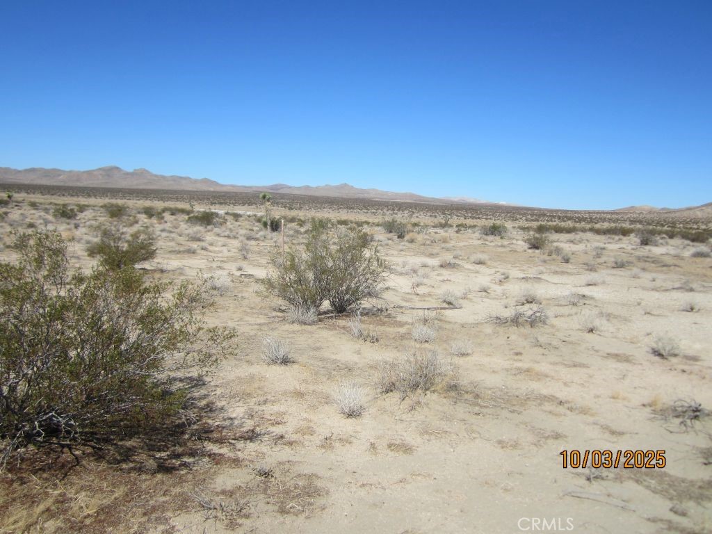 0 Panther Property Photo 3