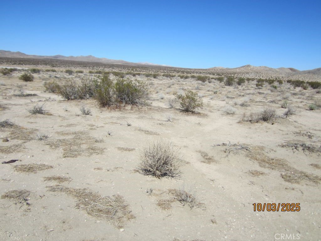 0 Panther Property Photo 5