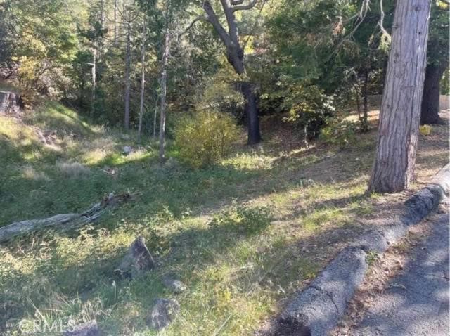 0 Deer Way Property Photo 7