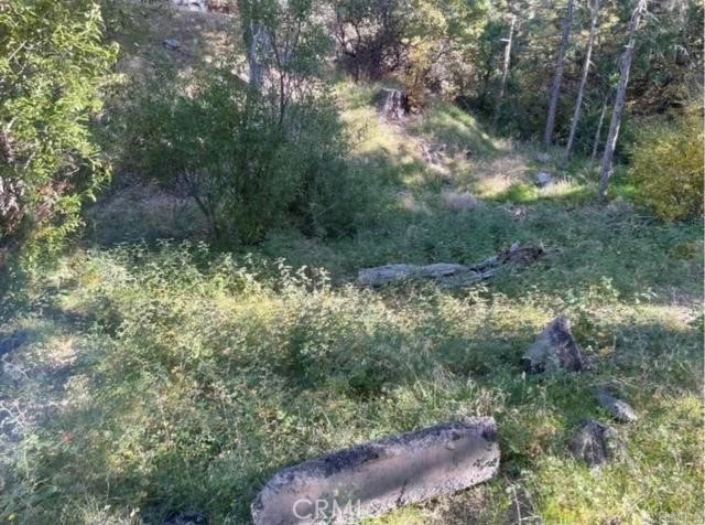 0 Deer Way Property Photo 8