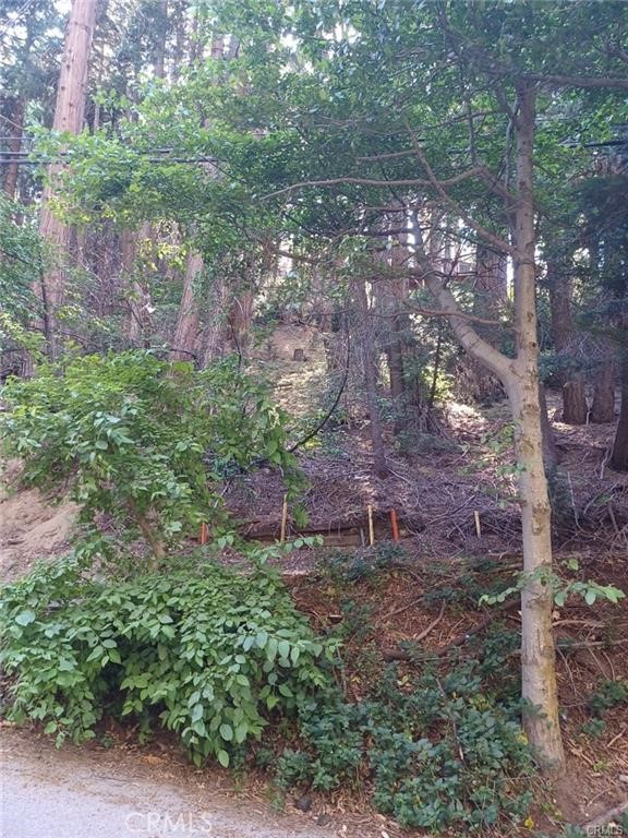0 Lake Drive Property Photo 2