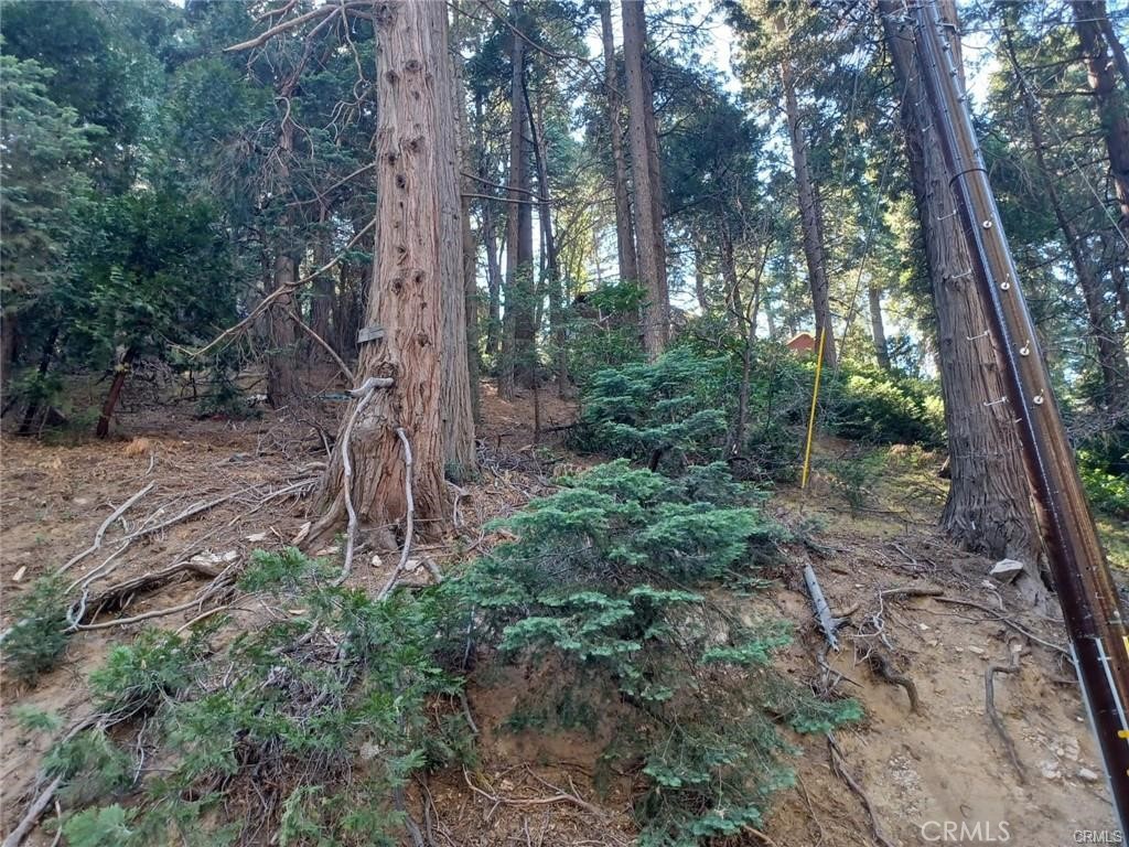 0 Lake Drive Property Photo 3