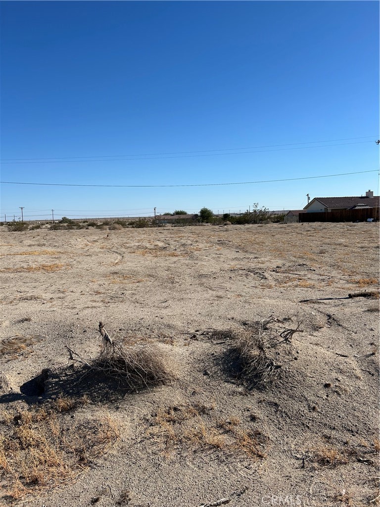 2288 Sand Flower Property Photo 4
