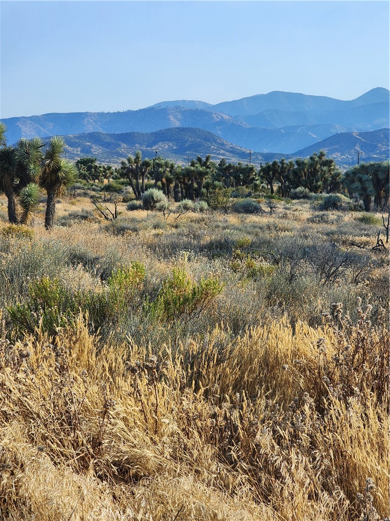 0 Acanthus Property Photo 5