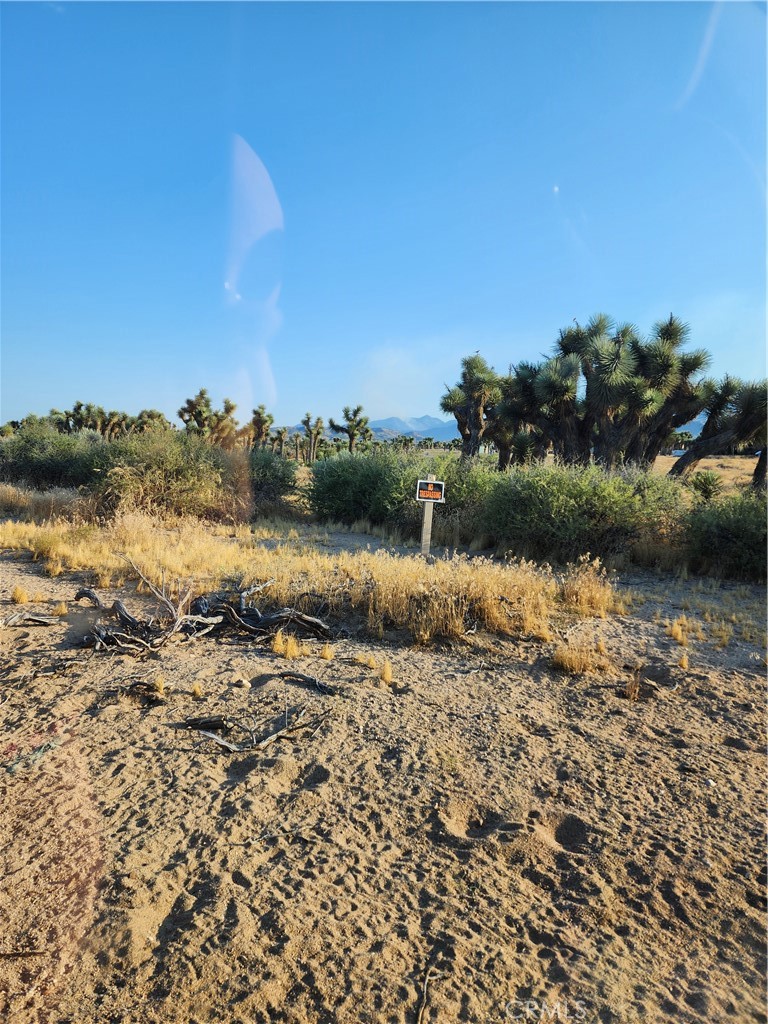 0 Acanthus Property Photo 11