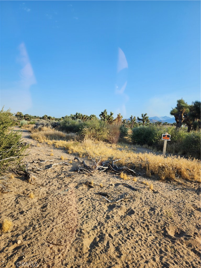 0 Acanthus Property Photo 12