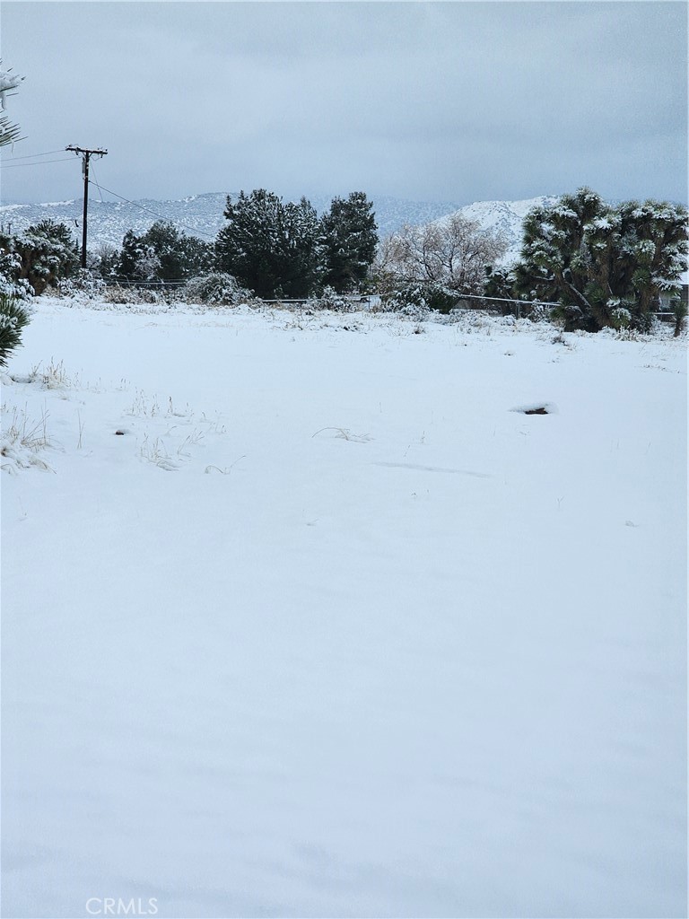 0 Acanthus Property Photo 18