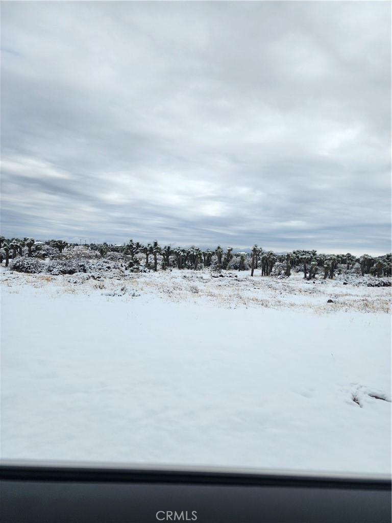 0 Acanthus Property Photo 21