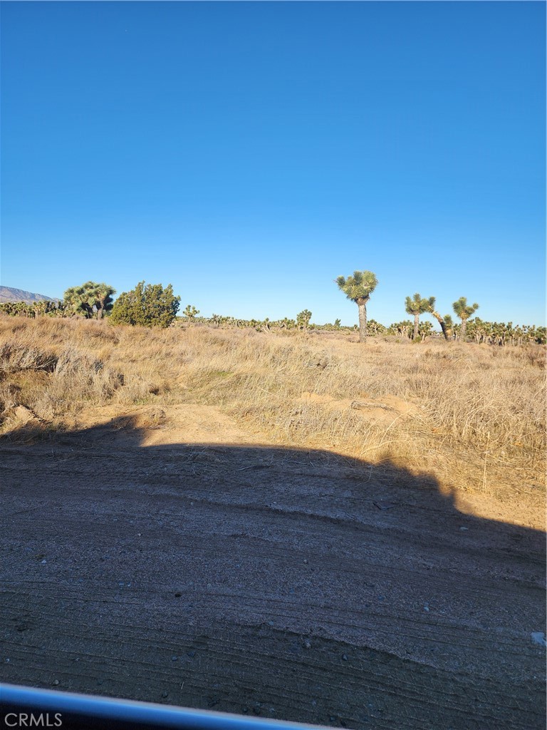 0 Acanthus Property Photo 28