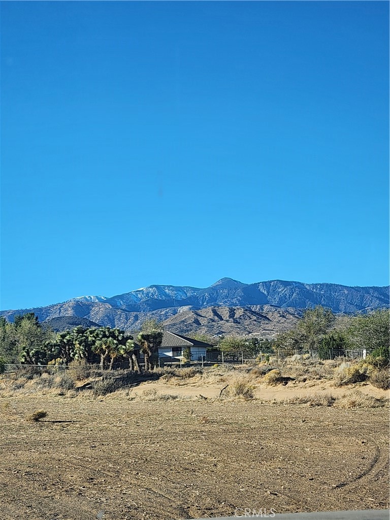 0 Acanthus Property Photo 45
