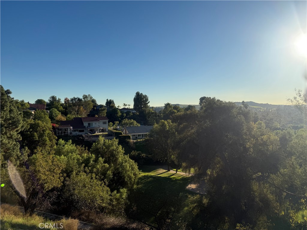 1633 Calle De Armonia Property Photo 3