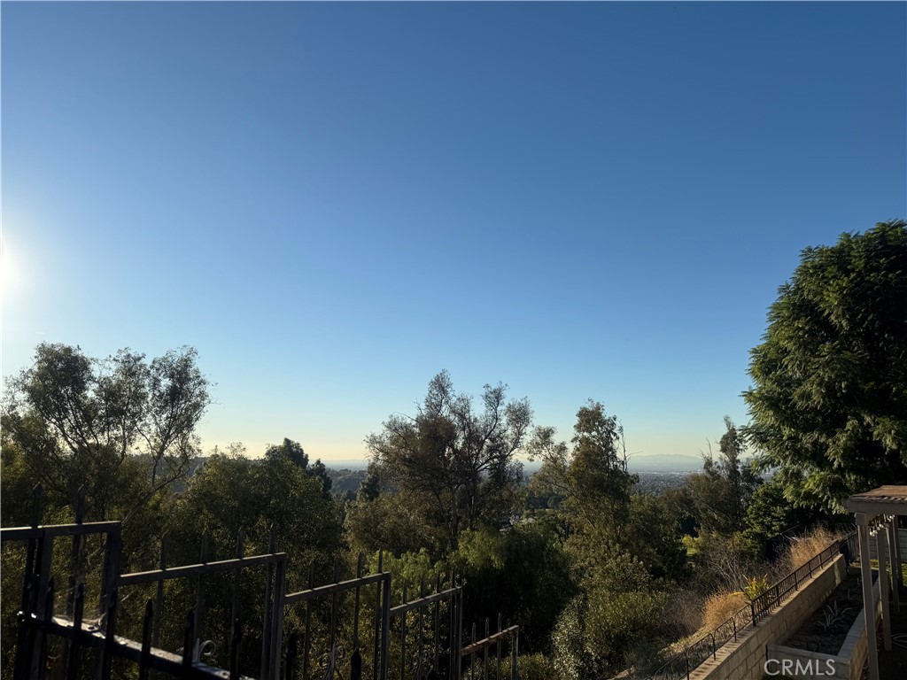 1633 Calle De Armonia Property Photo 4