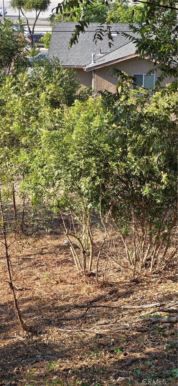 3717 Woolwine Drive Property Photo 3