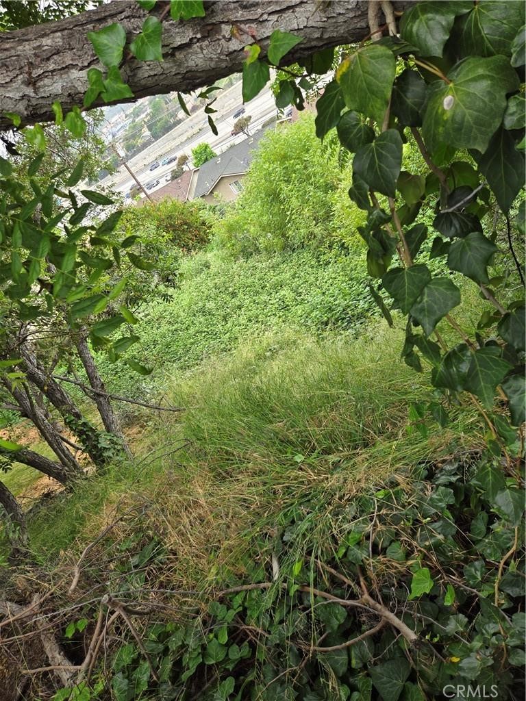 3717 Woolwine Drive Property Photo 4