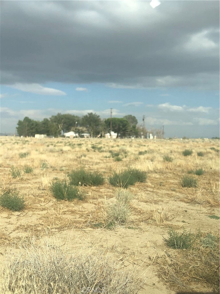 70 Antelope Property Photo 3