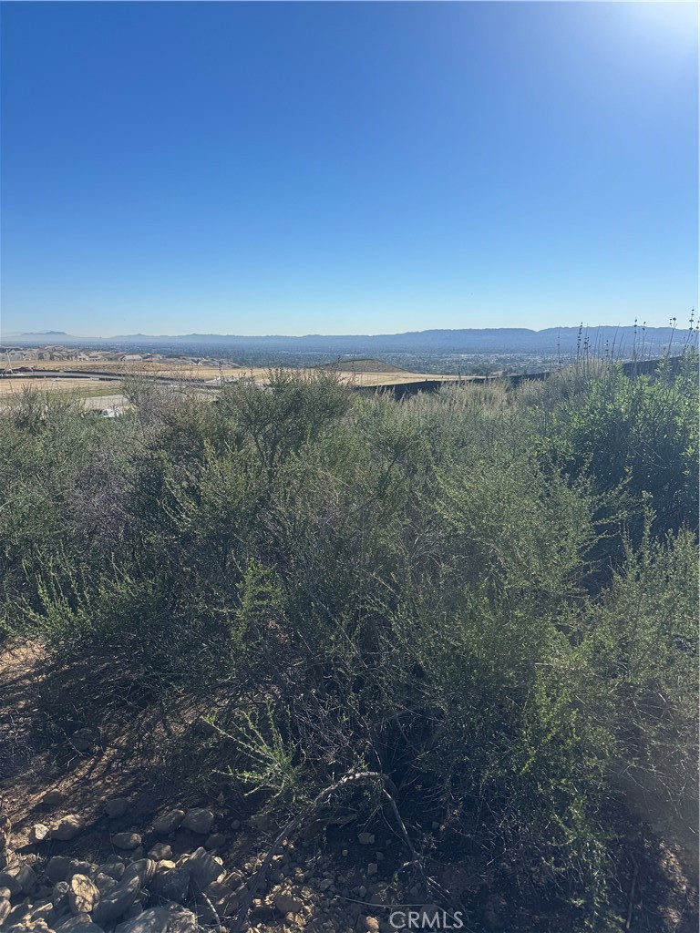 0 Curaco Tr Property Photo 6