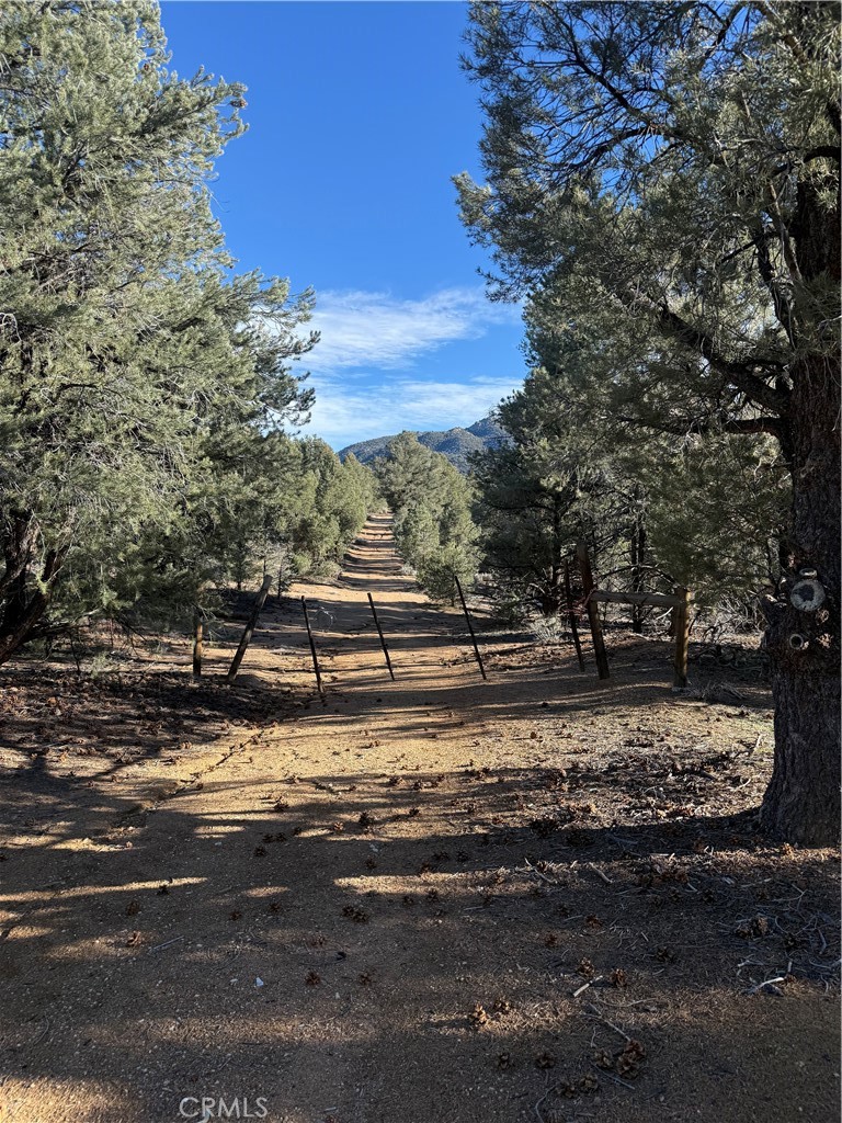 0 310-190-028 Sacatar Ranch Road Property Photo 3