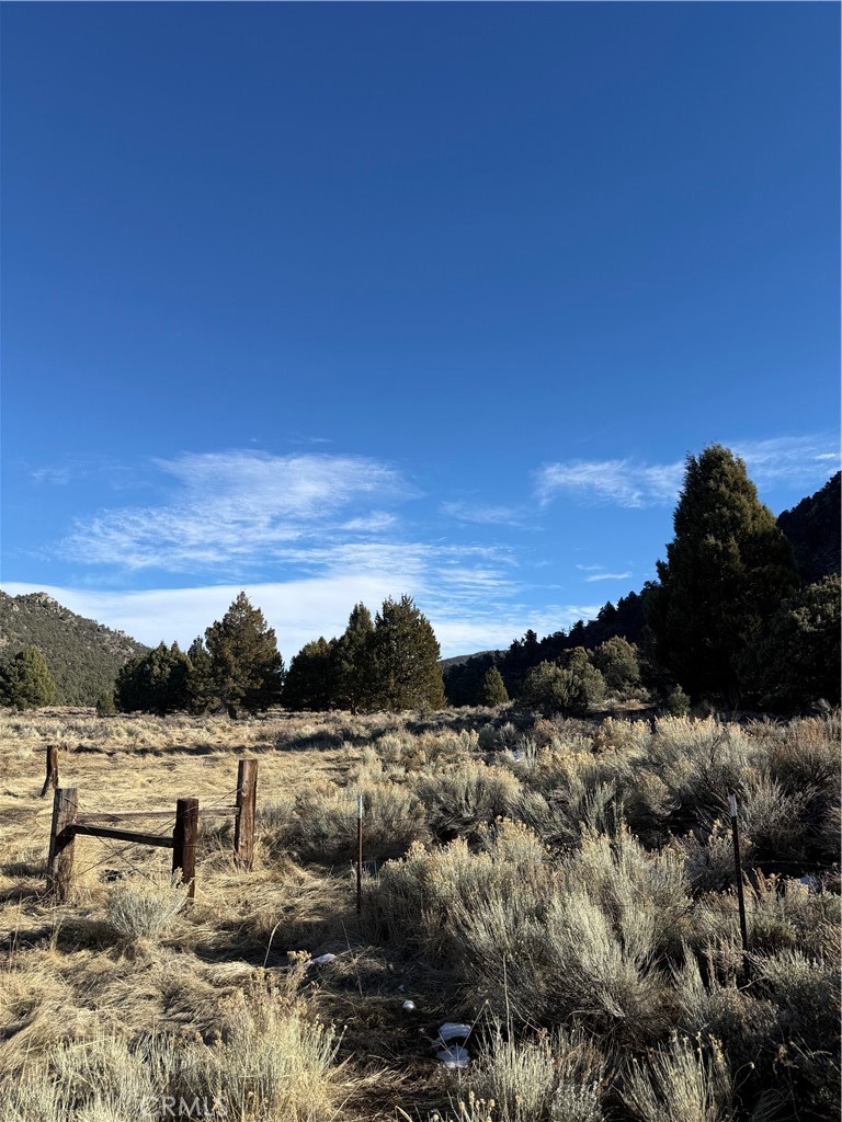 0 310-190-028 Sacatar Ranch Road Property Photo 4