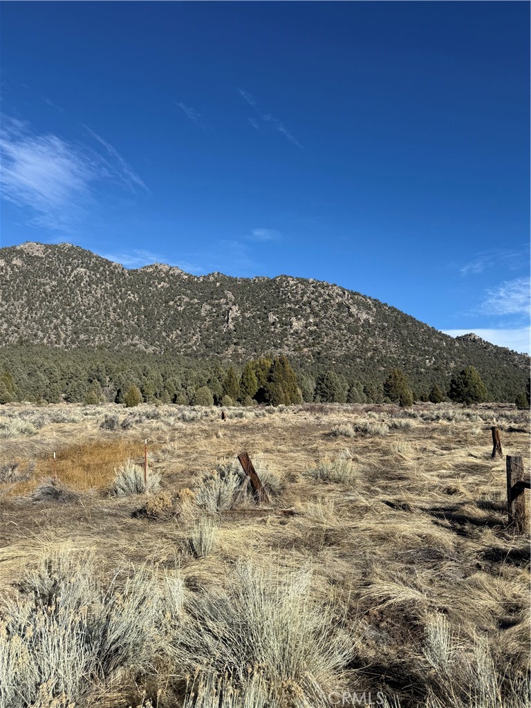 0 310-190-028 Sacatar Ranch Road Property Photo 5
