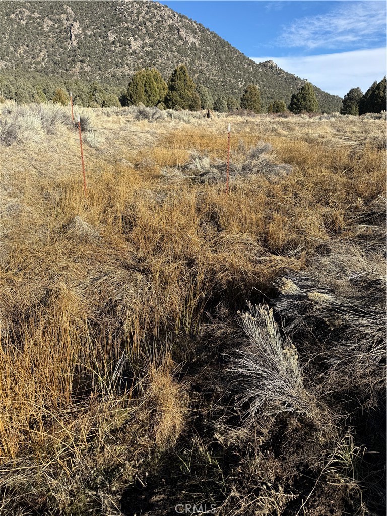 0 310-190-028 Sacatar Ranch Road Property Photo 7