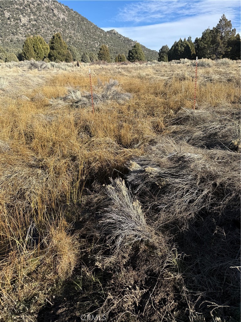 0 310-190-028 Sacatar Ranch Road Property Photo 8