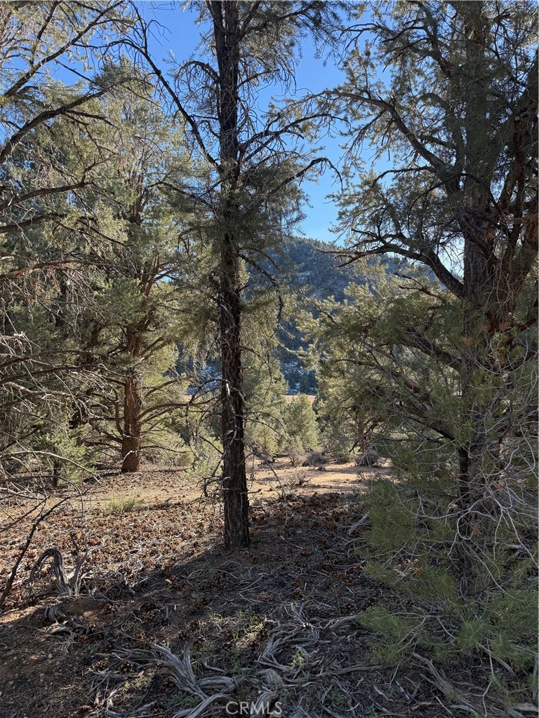 0 310-190-028 Sacatar Ranch Road Property Photo 9