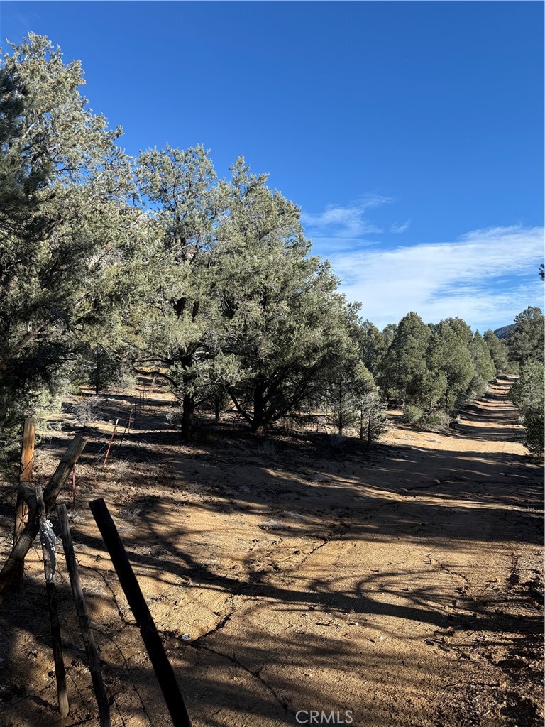 0 310-190-028 Sacatar Ranch Road Property Photo 10