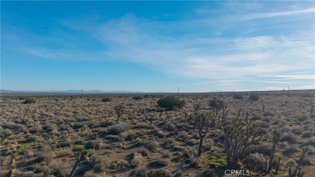 223 Avenue X Property Photo 7