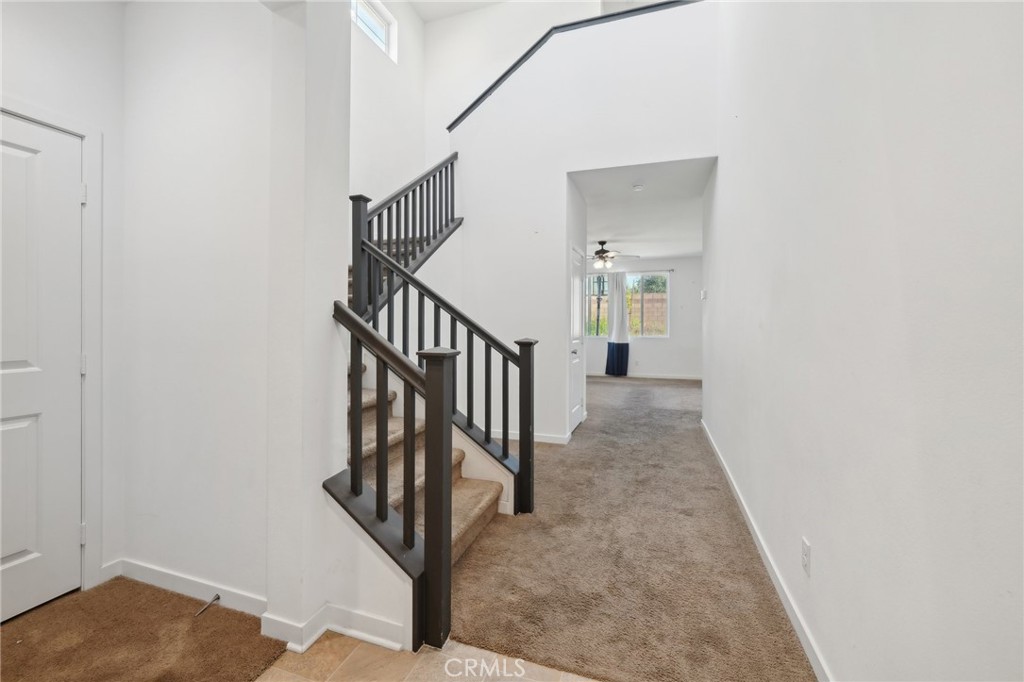 36927 Arezzo Court Property Photo 5