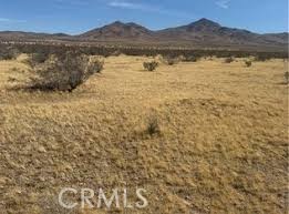 0 Hwy 15 Property Photo 2