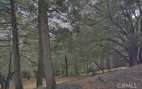 0 Burnt Mill Canyon Property Photo 2
