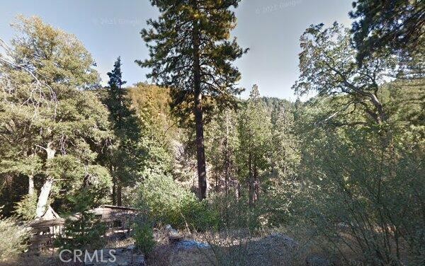 0 Burnt Mill Canyon Property Photo 4