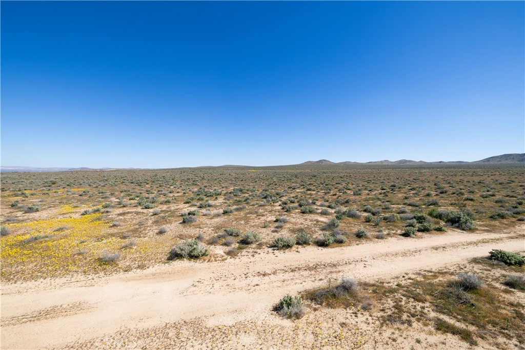 0 Vacant Land Property Photo 8