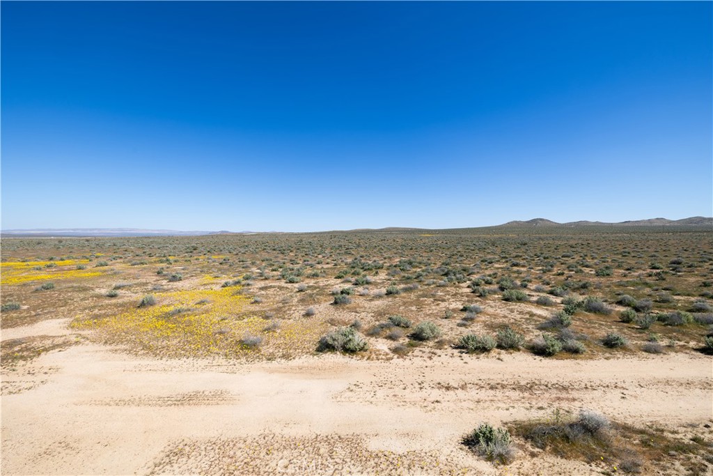 0 Vacant Land Property Photo 9