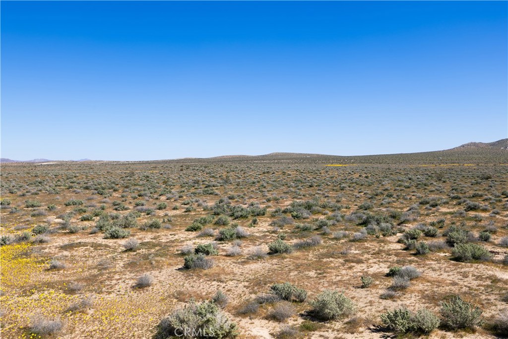 0 Vacant Land Property Photo 11