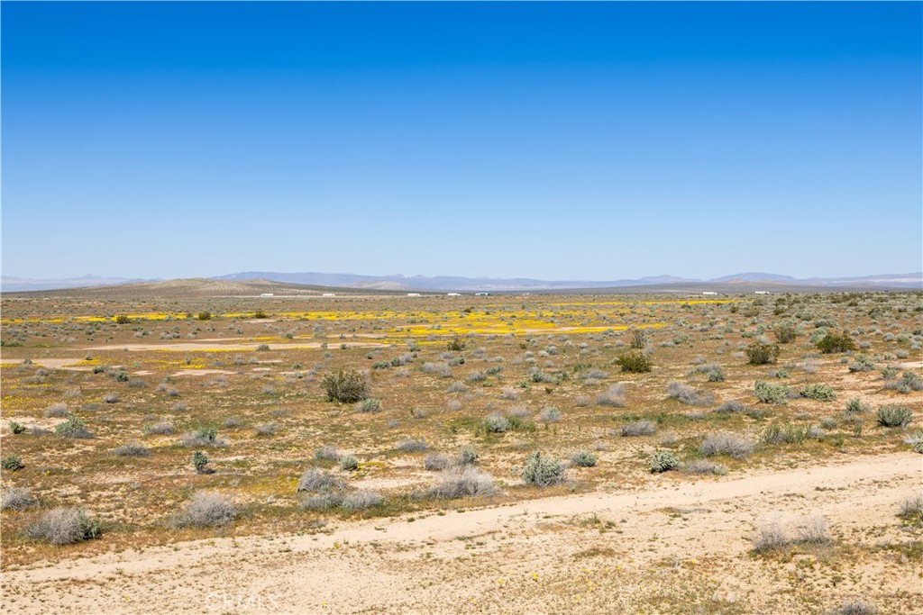 0 Vacant Land Property Photo 16