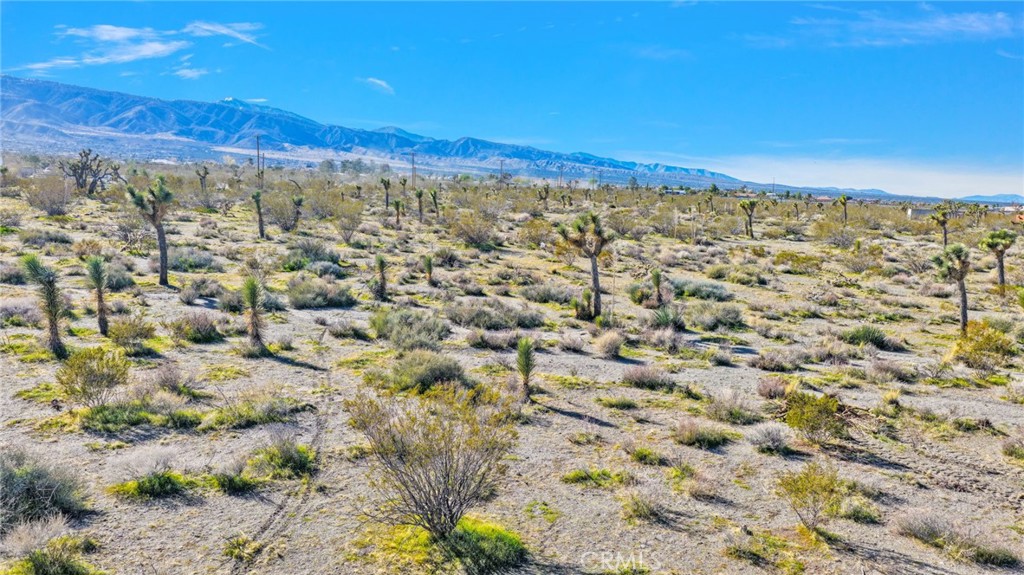 11786 Buckwheat Road Property Photo 10