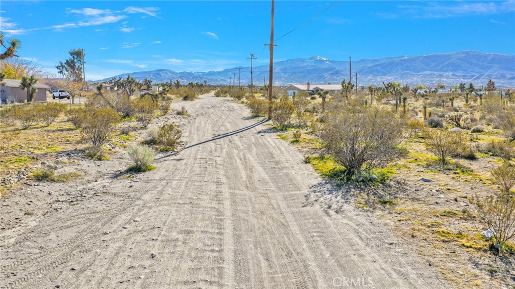 11786 Buckwheat Road Property Photo 11