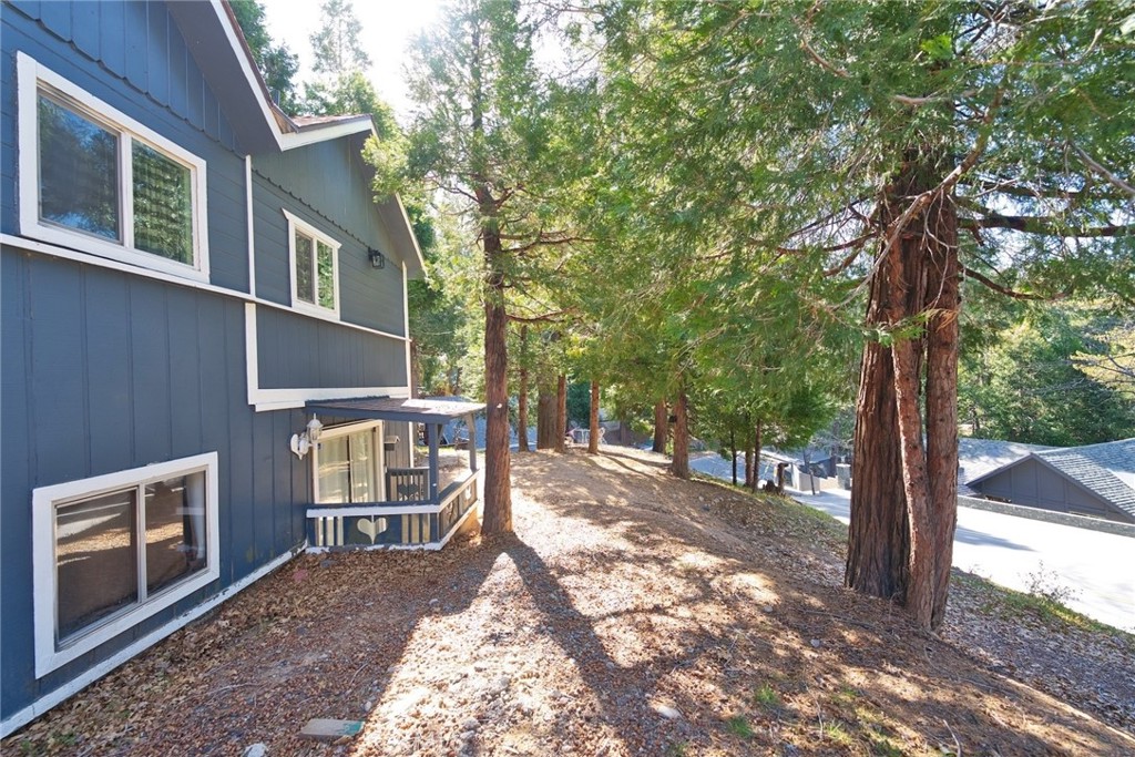 29083 Hook Creek Property Photo 8