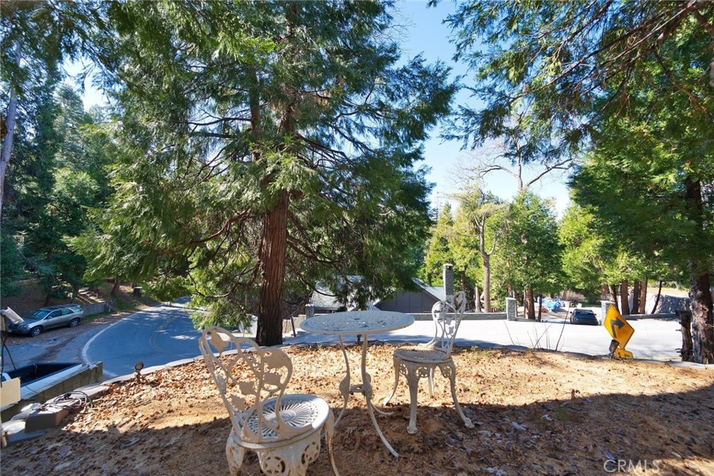 29083 Hook Creek Property Photo 42