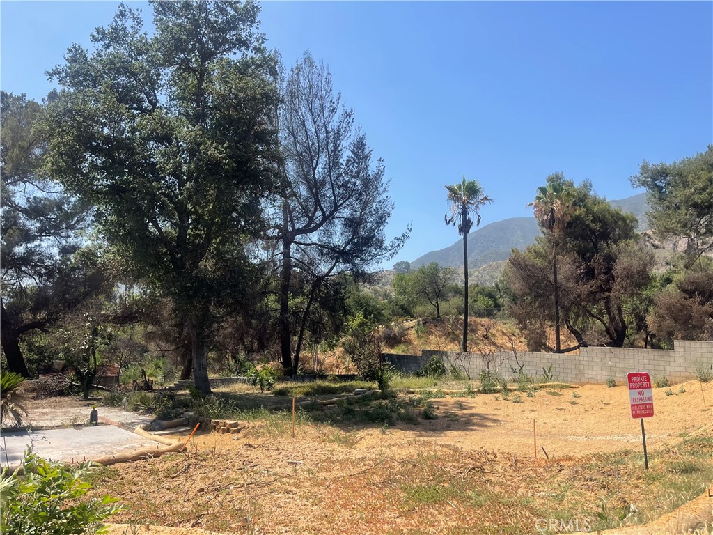 163 E Loma Alta Drive Property Photo 4