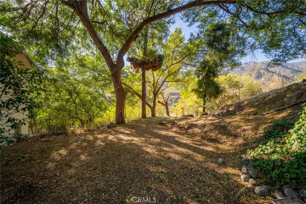 2800 N Mountain Avenue Property Photo 10