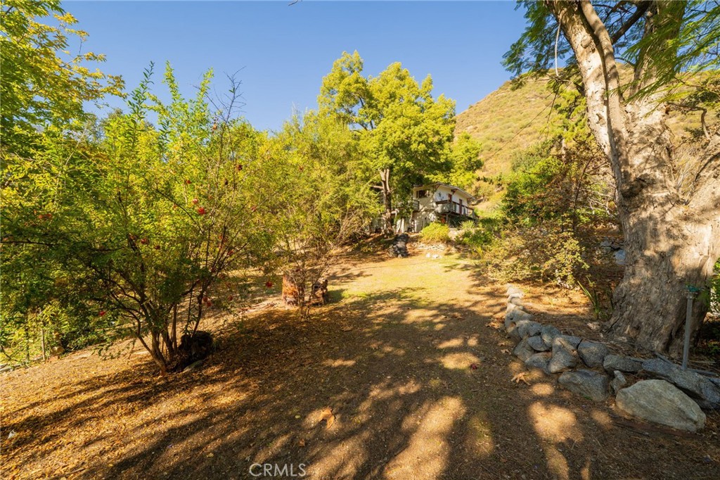 2800 N Mountain Avenue Property Photo 16