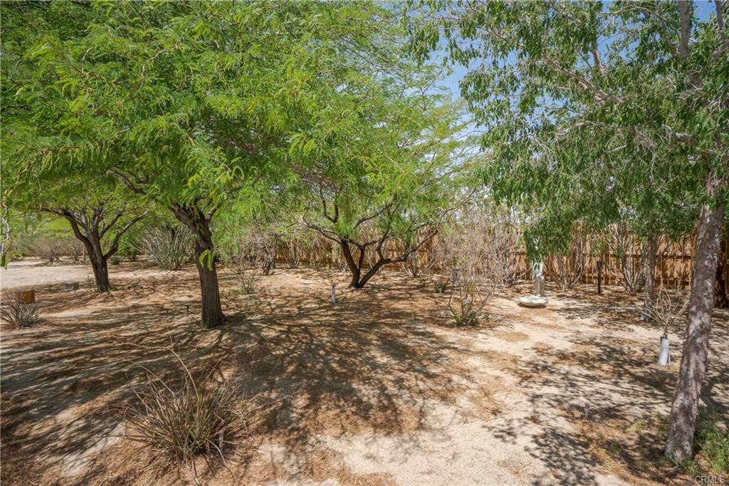 66125 Brant Cross Property Photo 11