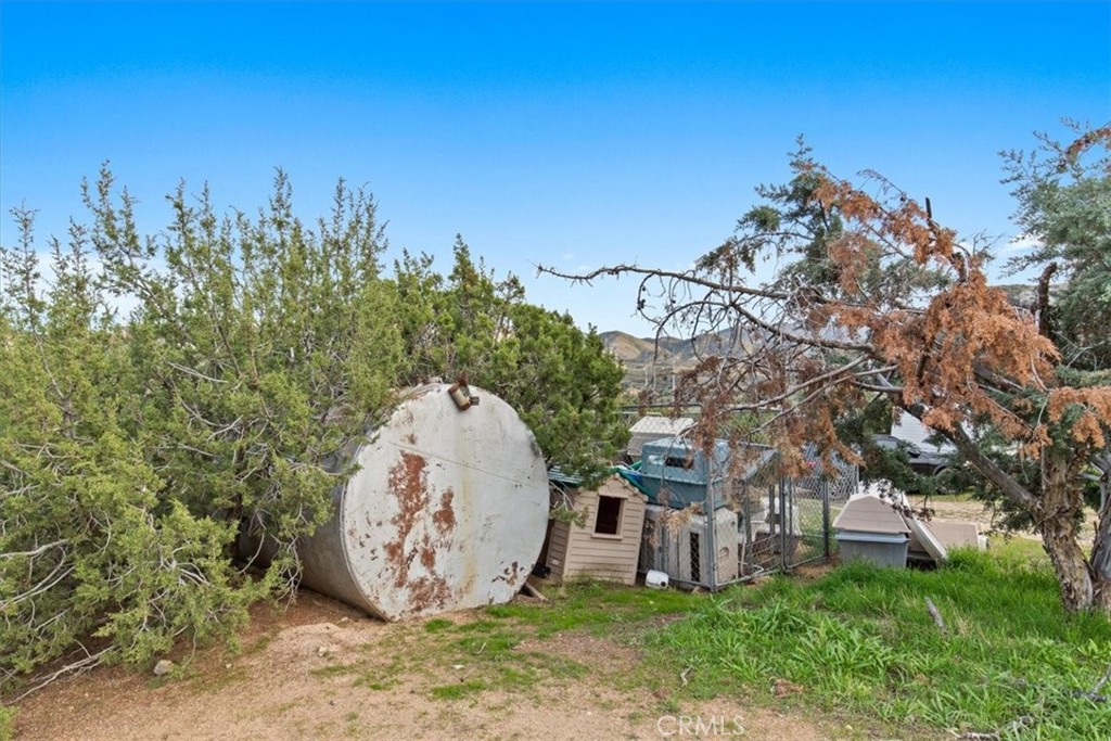 32301 Angeles Forest Property Photo 15